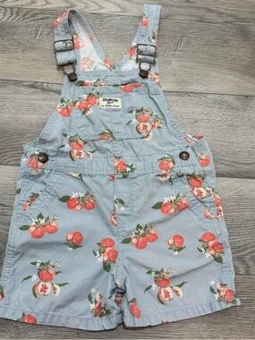 OshKosh B'gosh Light Blue Peach Print Short Overalls